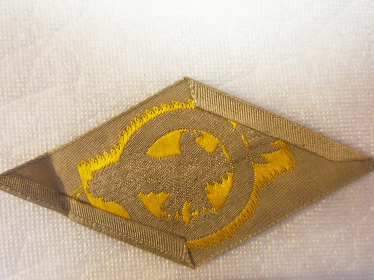 WW2 US Ruptured Duck Army Insignia . USP353 - Time Traveler Militaria