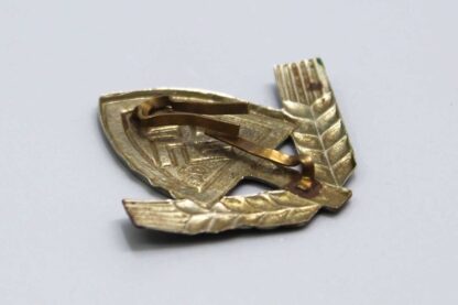 WW2 German RAD Cap Insignia . PIN4013 - Image 5